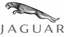 jaguar jaguar